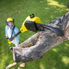 Best Pest Control for Lawns  in Hendron, KY