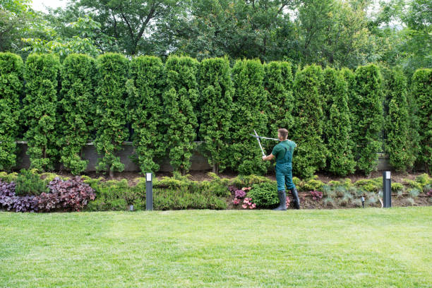 Best Soil Testing and Treatment  in Hendron, KY