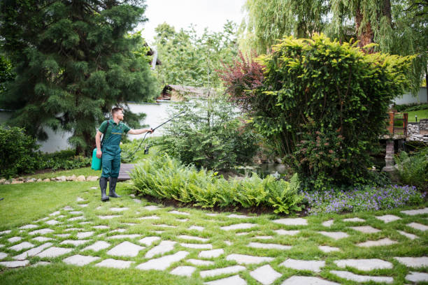 Best Tree Maintenance Programs  in Hendron, KY